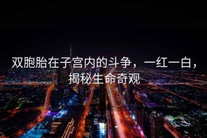 雙胞胎在子宮內的斗爭，一紅一白，揭秘生命奇觀(guān)
