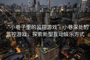 “小巷子里的監控游戲”小巷深處的監控游戲，探索新型互動(dòng)娛樂(lè )方式