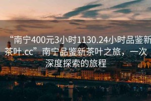 “南寧400元3小時(shí)1130.24小時(shí)品鑒新茶葉.cc”南寧品鑒新茶葉之旅，一次深度探索的旅程
