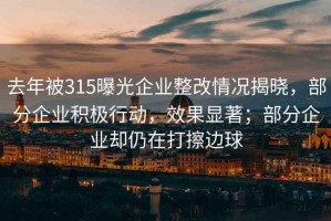 去年被315曝光企業(yè)整改情況揭曉，部分企業(yè)積極行動(dòng)，效果顯著(zhù)；部分企業(yè)卻仍在打擦邊球