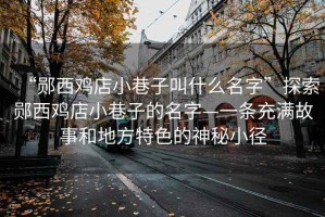 “鄖西雞店小巷子叫什么名字”探索鄖西雞店小巷子的名字—一條充滿(mǎn)故事和地方特色的神秘小徑