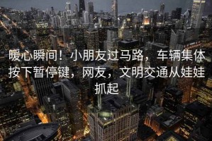 暖心瞬間！小朋友過(guò)馬路，車(chē)輛集體按下暫停鍵，網(wǎng)友，文明交通從娃娃抓起