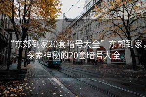 “東郊到家20套暗號大全”東郊到家，探索神秘的20套暗號大全