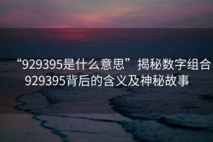 “929395是什么意思”揭秘數字組合929395背后的含義及神秘故事