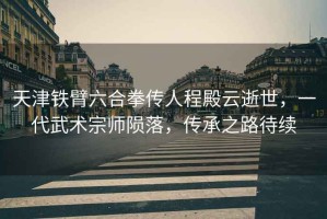 天津鐵臂六合拳傳人程殿云逝世，一代武術(shù)宗師隕落，傳承之路待續