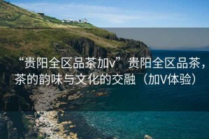 “貴陽(yáng)全區品茶加v”貴陽(yáng)全區品茶，茶的韻味與文化的交融（加V體驗）