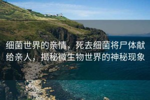 細菌世界的親情，死去細菌將尸體獻給親人，揭秘微生物世界的神秘現象