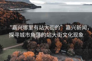 “嘉興哪里有站大街的”嘉興新聞，探尋城市角落的站大街文化現象