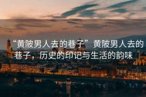 “黃陂男人去的巷子”黃陂男人去的巷子，歷史的印記與生活的韻味