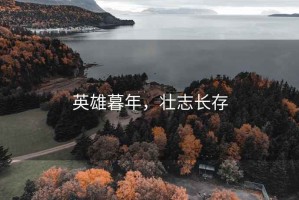 英雄暮年，壯志長(cháng)存