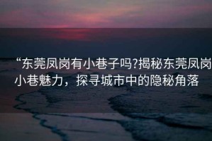 “東莞鳳崗有小巷子嗎?揭秘東莞鳳崗小巷魅力，探尋城市中的隱秘角落