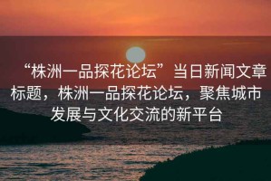“株洲一品探花論壇”當日新聞文章標題，株洲一品探花論壇，聚焦城市發(fā)展與文化交流的新平臺