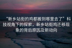 “新鄉站街的雞都搬到哪里去了”科技視角下的探索，新鄉站街雞遷移現象的背后原因及新動(dòng)向