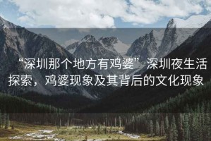 “深圳那個(gè)地方有雞婆”深圳夜生活探索，雞婆現象及其背后的文化現象