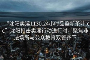 “沈陽(yáng)賣(mài)淫1130.24小時(shí)品鑒新茶葉.cc”沈陽(yáng)打擊賣(mài)淫行動(dòng)進(jìn)行時(shí)，聚焦非法場(chǎng)所與公眾教育雙管齊下