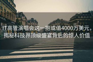 IT高管演唱會(huì )這一抱或值4000萬(wàn)美元，揭秘科技界頂級盛宴背后的驚人價(jià)值