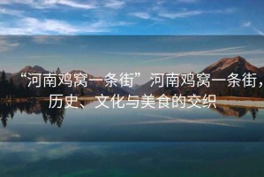 “河南雞窩一條街”河南雞窩一條街，歷史、文化與美食的交織