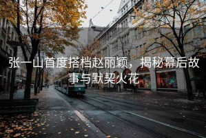 張一山首度搭檔趙麗穎，揭秘幕后故事與默契火花