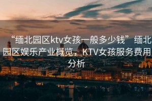 “緬北園區ktv女孩一般多少錢(qián)”緬北園區娛樂(lè )產(chǎn)業(yè)概覽，KTV女孩服務(wù)費用分析