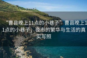 “曹縣晚上11點(diǎn)的小巷子”曹縣晚上11點(diǎn)的小巷子，夜市的繁華與生活的真實(shí)寫(xiě)照