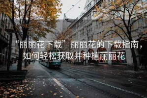 “麗麗花下載”麗麗花的下載指南，如何輕松獲取并種植麗麗花