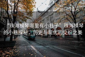 “珠海橫琴哪里有小巷子”珠海橫琴的小巷探秘，歷史與現代的交織之美