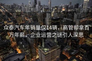 眾泰汽車(chē)年銷(xiāo)量?jì)H14輛，高管卻拿百萬(wàn)年薪，企業(yè)運營(yíng)之謎引人深思