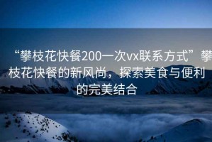 “攀枝花快餐200一次vx聯(lián)系方式”攀枝花快餐的新風(fēng)尚，探索美食與便利的完美結合