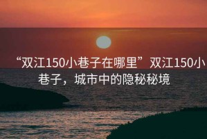 “雙江150小巷子在哪里”雙江150小巷子，城市中的隱秘秘境