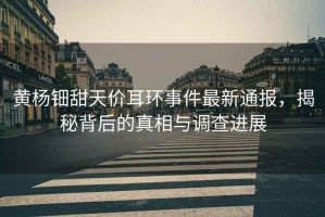 黃楊鈿甜天價(jià)耳環(huán)事件最新通報，揭秘背后的真相與調查進(jìn)展