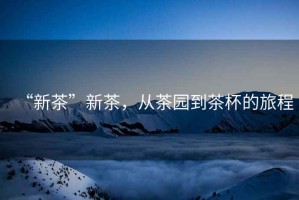 “新茶”新茶，從茶園到茶杯的旅程