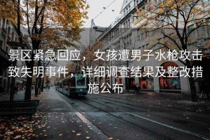 景區緊急回應，女孩遭男子水槍攻擊致失明事件，詳細調查結果及整改措施公布
