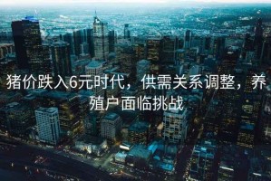 豬價(jià)跌入6元時(shí)代，供需關(guān)系調整，養殖戶(hù)面臨挑戰