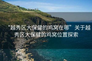 “越秀區大保健的雞窩在哪”關(guān)于越秀區大保健的雞窩位置探索