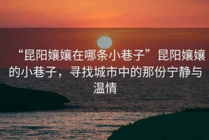 “昆陽(yáng)孃孃在哪條小巷子”昆陽(yáng)孃孃的小巷子，尋找城市中的那份寧靜與溫情