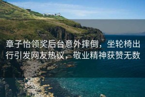 章子怡領(lǐng)獎后臺意外摔倒，坐輪椅出行引發(fā)網(wǎng)友熱議，敬業(yè)精神獲贊無(wú)數