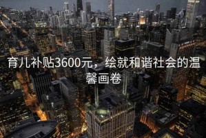 育兒補貼3600元，繪就和諧社會(huì )的溫馨畫(huà)卷