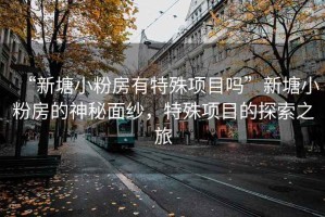 “新塘小粉房有特殊項目嗎”新塘小粉房的神秘面紗，特殊項目的探索之旅