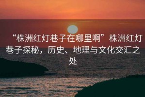“株洲紅燈巷子在哪里啊”株洲紅燈巷子探秘，歷史、地理與文化交匯之處
