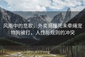 風(fēng)雨中的悲歌，外賣(mài)員撞死未牽繩寵物狗被打，人性與規則的沖突