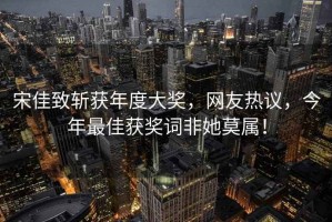 宋佳致斬獲年度大獎，網(wǎng)友熱議，今年最佳獲獎詞非她莫屬！