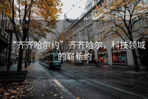 “齊齊哈爾約”齊齊哈爾，科技領(lǐng)域的嶄新約
