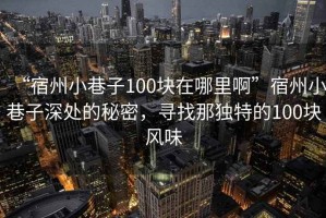 “宿州小巷子100塊在哪里啊”宿州小巷子深處的秘密，尋找那獨特的100塊風(fēng)味