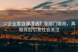 女企業(yè)家自爆遭遇職能部門(mén)做局，真相背后引發(fā)社會(huì )關(guān)注