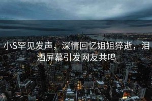 小S罕見(jiàn)發(fā)聲，深情回憶姐姐猝逝，淚灑屏幕引發(fā)網(wǎng)友共鳴