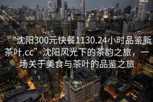 “沈陽(yáng)300元快餐1130.24小時(shí)品鑒新茶葉.cc”沈陽(yáng)風(fēng)光下的茶韻之旅，一場(chǎng)關(guān)于美食與茶葉的品鑒之旅