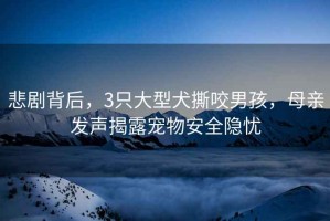 悲劇背后，3只大型犬撕咬男孩，母親發(fā)聲揭露寵物安全隱憂(yōu)