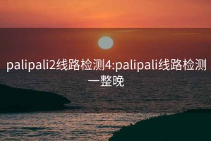 palipali2線(xiàn)路檢測4:palipali線(xiàn)路檢測一整晚