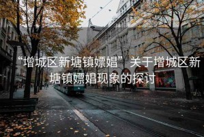 “增城區新塘鎮嫖娼”關(guān)于增城區新塘鎮嫖娼現象的探討