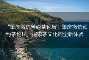 “肇慶微信預約茶論壇”肇慶微信預約茶論壇，探索茶文化的全新體驗